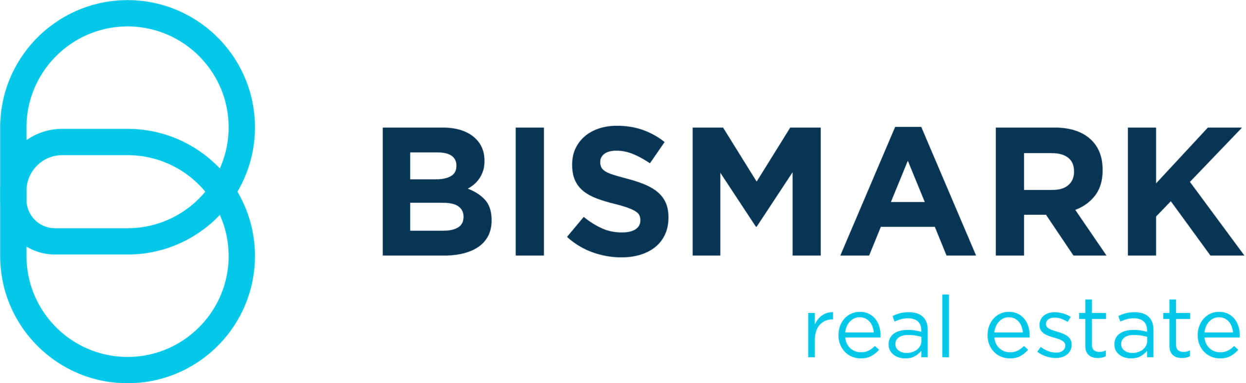 logo bismark iad orizontal